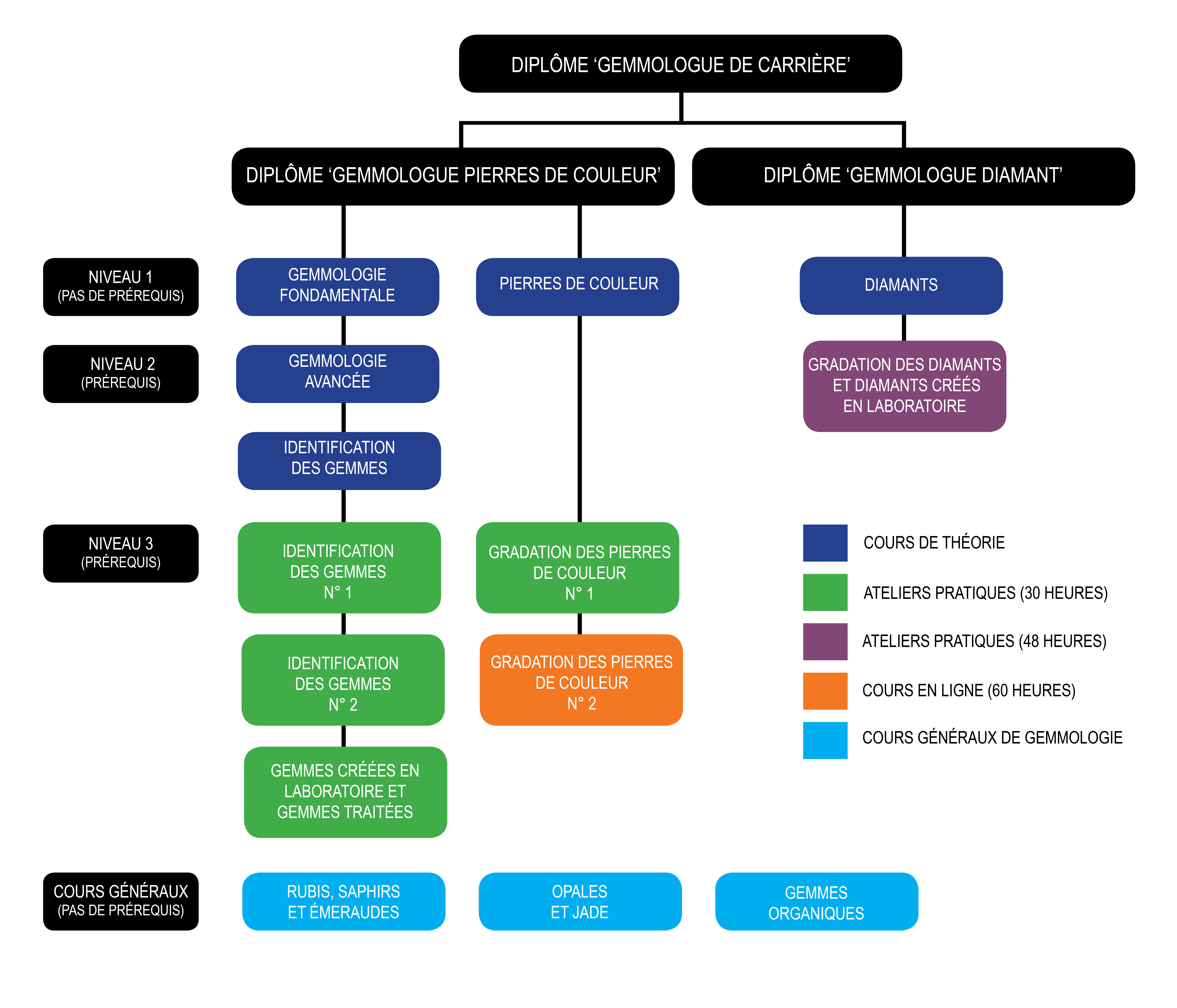 Program and Course Flow Chart